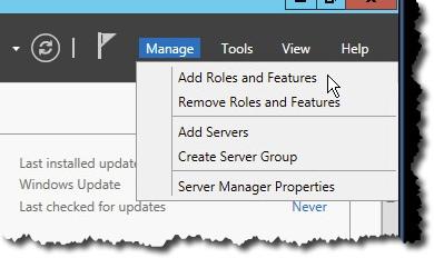 ServerManagerProperties
