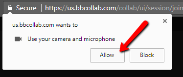 Chrome Allow Camera Microphone 