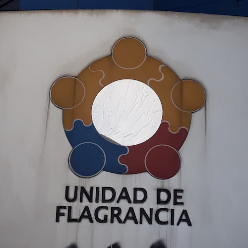 Defensoría Pública Unidad Nacional de Flagrancia - Quito