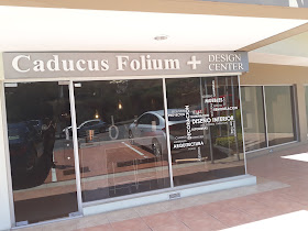 Caducus Folium