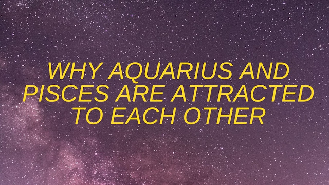 Why Aquarius and Pisces Are Attracted to Each Other