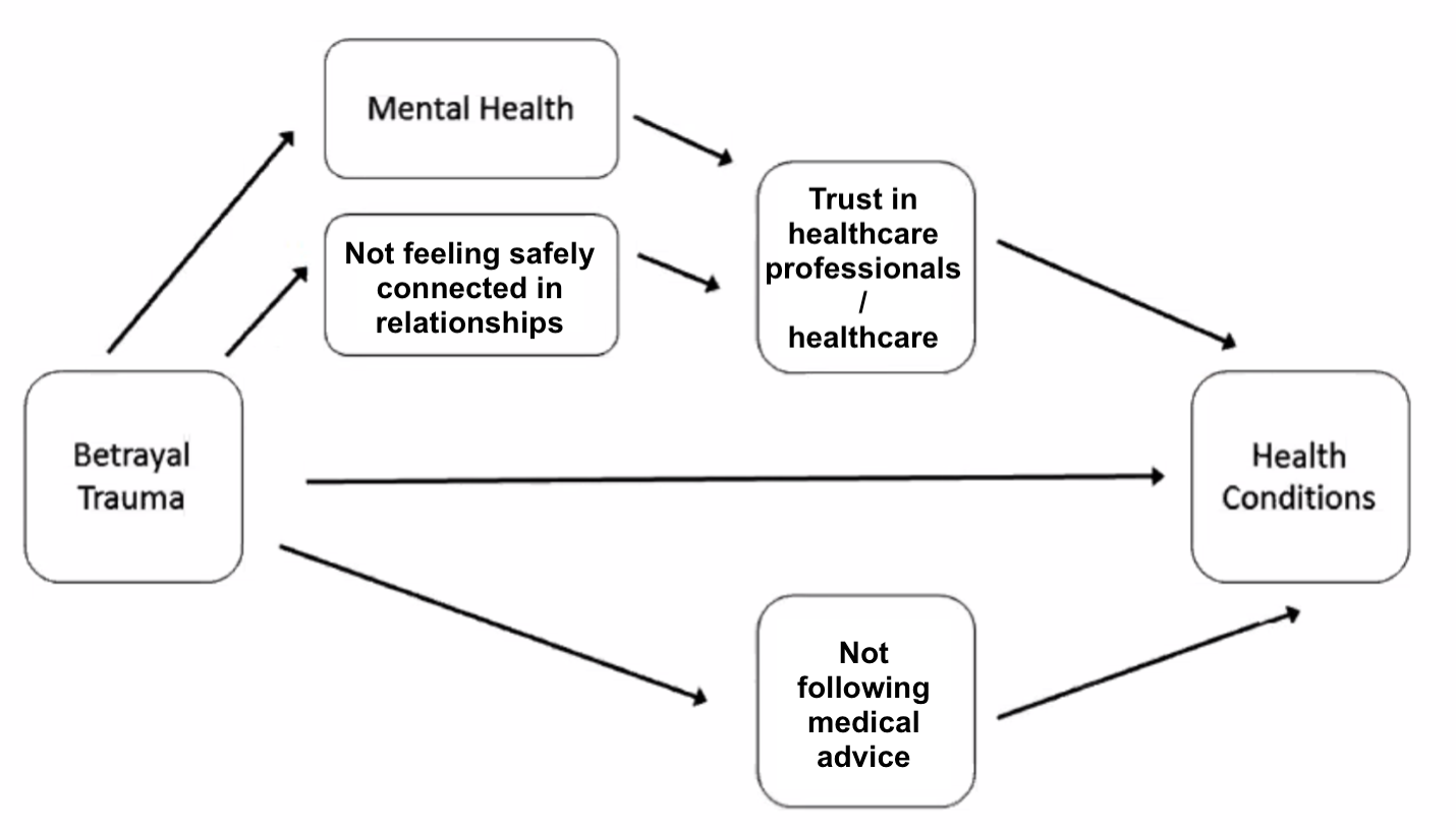 There are four statistical pathways that were found significant between betrayal trauma and health conditions. The first is simply betrayal trauma and health conditions. The second one is betrayal trauma, then mental health, then trust in healthcare professionals and healthcare, then health conditions. The third is betrayal trauma, then not feeling safely connected in relationships, then trust in healthcare professionals and healthcare, then health conditions. The fourth is betrayal trauma, then not following medical advice, then health conditions.