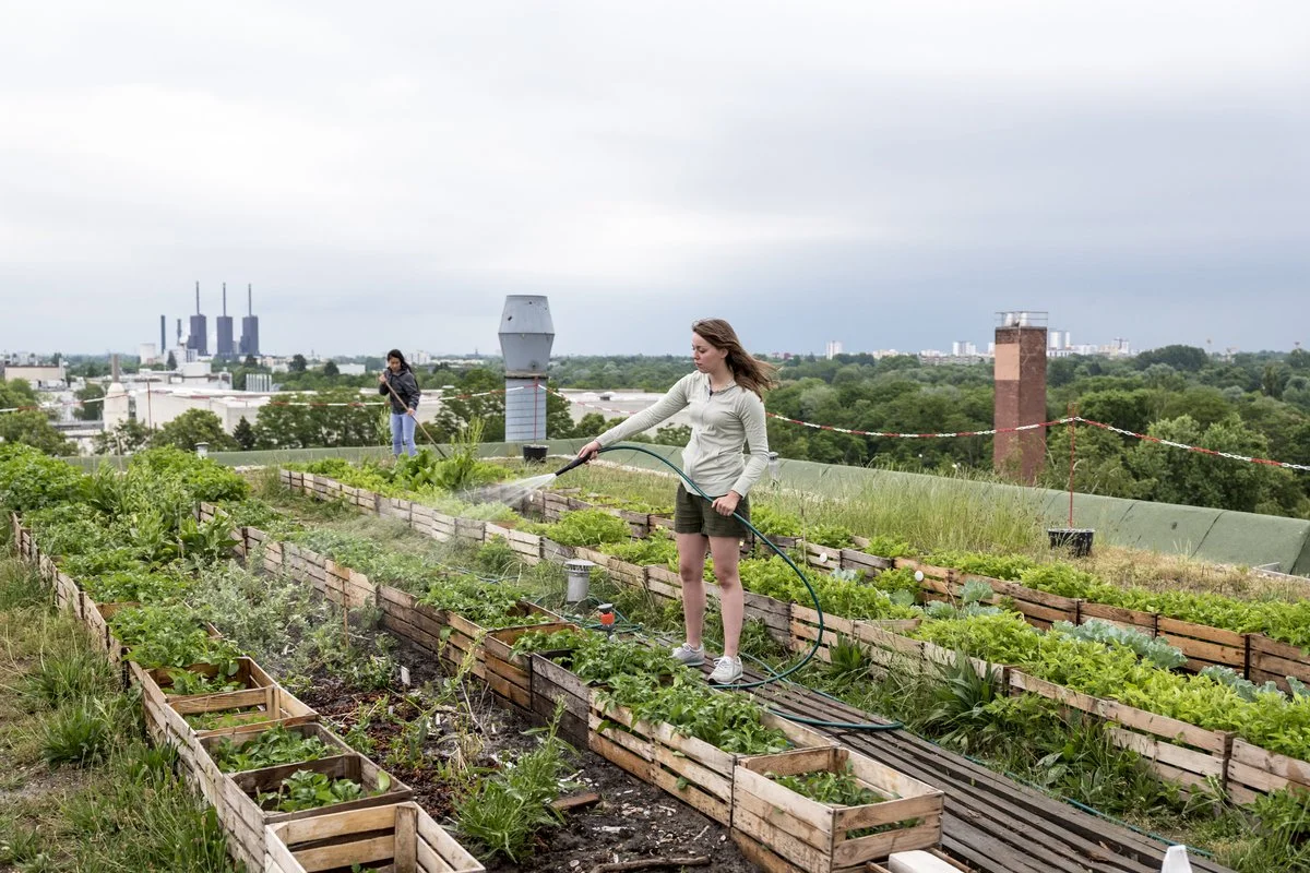 berkebun Urban Farming