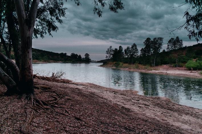 A river with trees and a cloudy skyDescription automatically generated