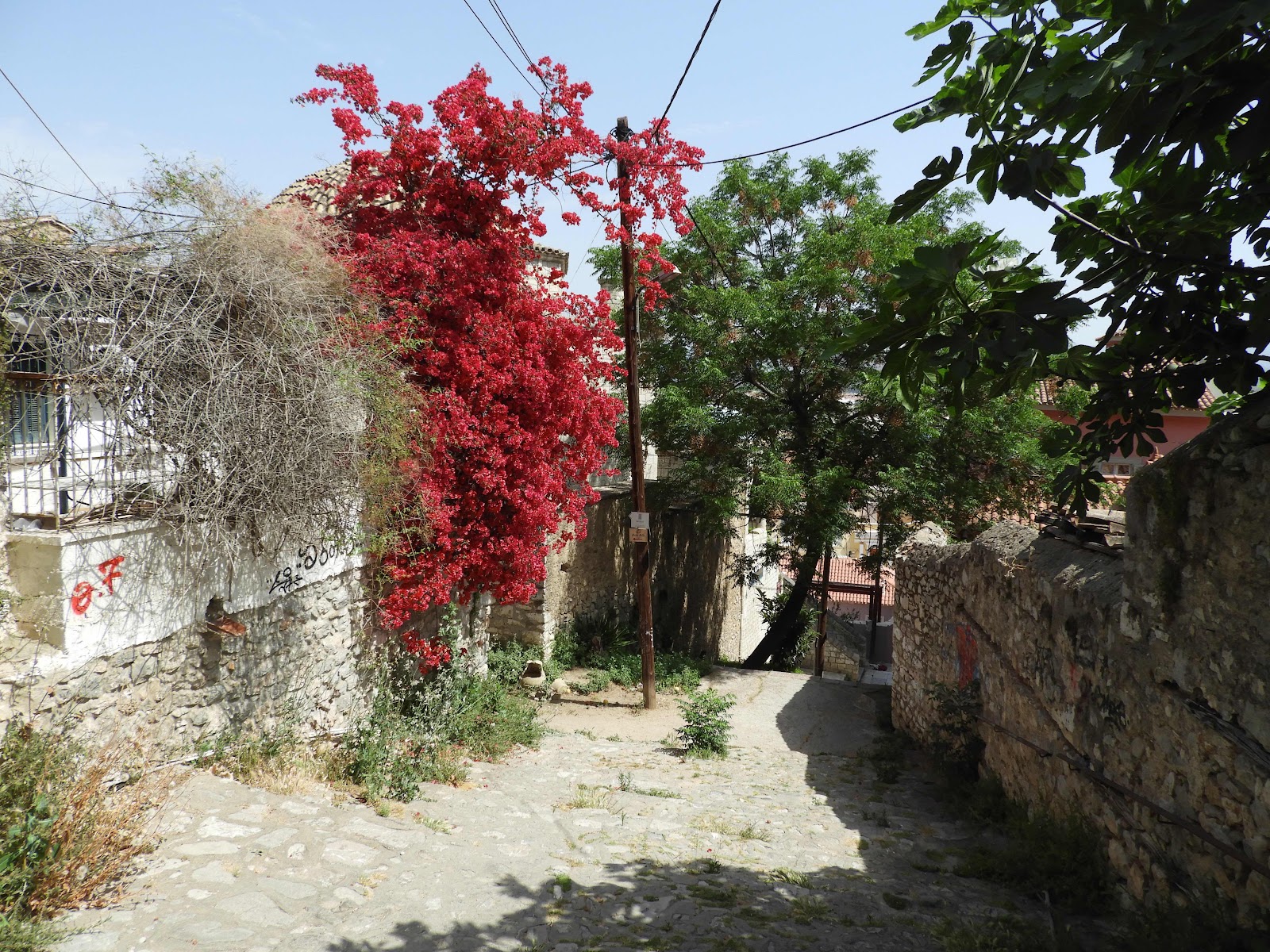 Nafplio, Peloponnesos 