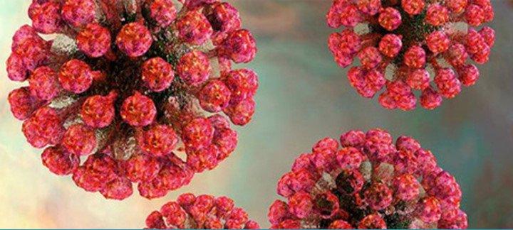 Tìm hiểu về virus gây bệnh Rubella | Vinmec