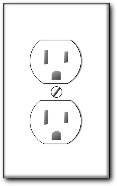 Typical U.S Plug