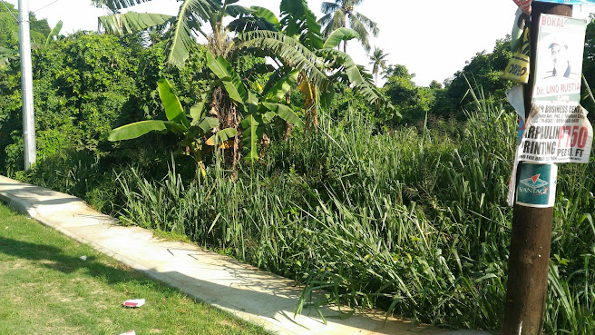 Talisay Green Lake Resort by null