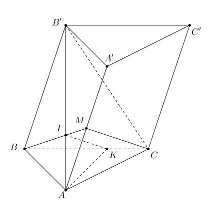 Cho khối lăng trụ tam giác (ABC.A'B'C') có đáy là tam giác vuông tại (A), (AB = 1), (BC = 2),(widehat {CBB'} = 90^circ ), (widehat {ABB'} = 120^circ ). Gọi (M) là trung điểm cạnh (AA'), biết (dleft( {AB',CM} right) = frac{{sqrt 7 }}{7}). Tính thể tích khối lăng trụ đã cho.</p> 1