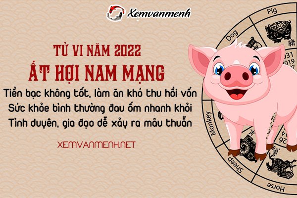 tu-vi-tuoi-at-hoi-nam-2022-nam-mang-1995