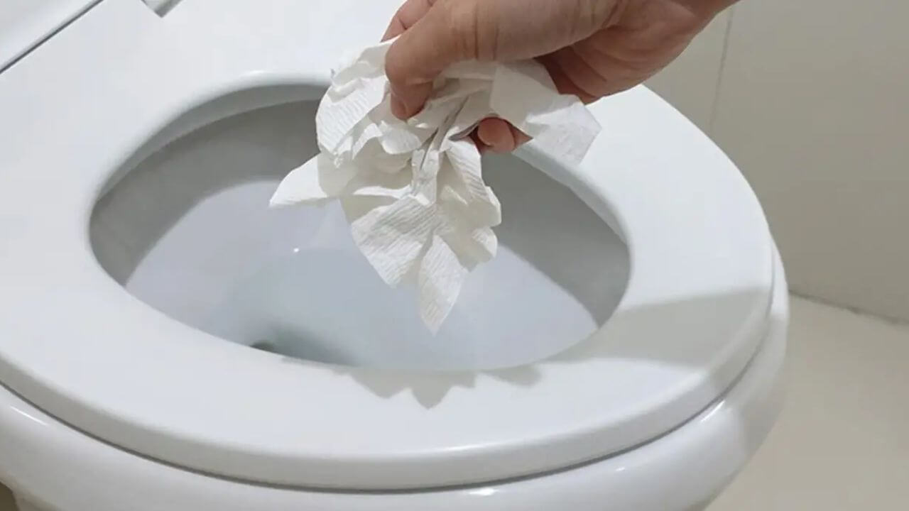 Do You Need To Flush Toilet Paper In Dubai?