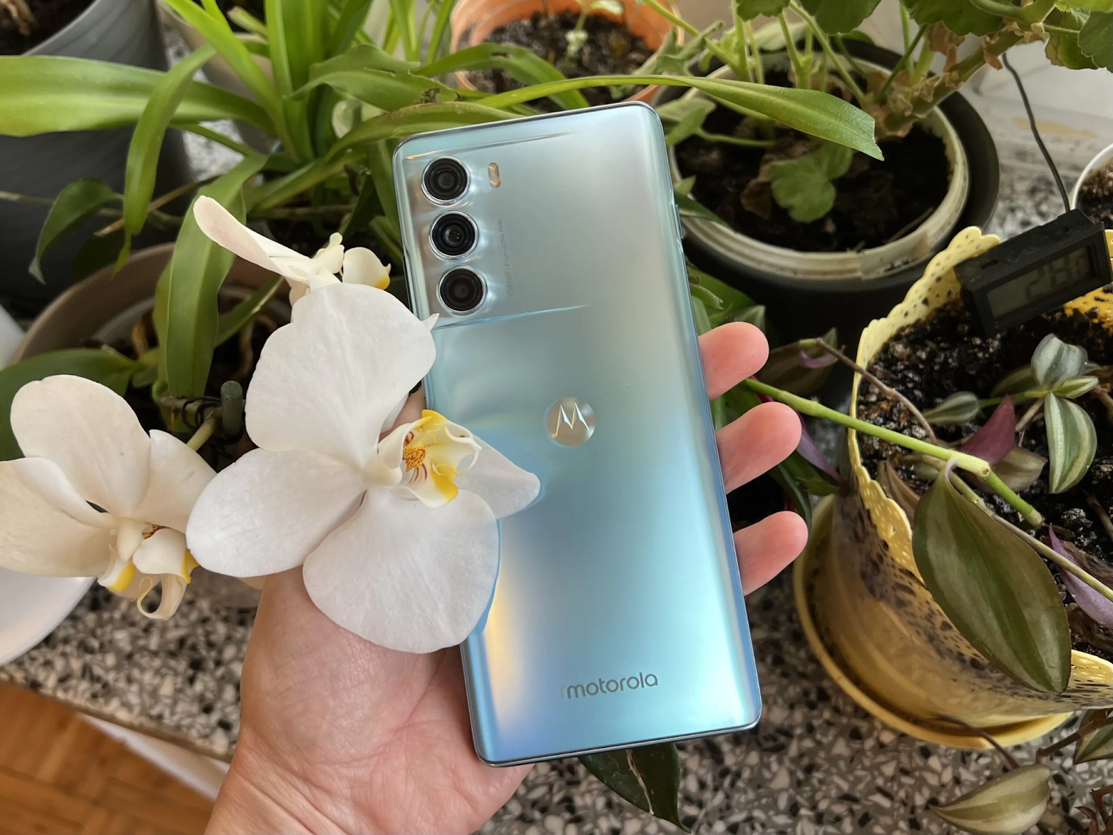 This image shows the Motorola G200 in the hands of a man with flowers around.