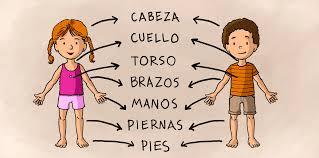 C:\Users\pc\Desktop\EXI lenguaje\images (12).jpg