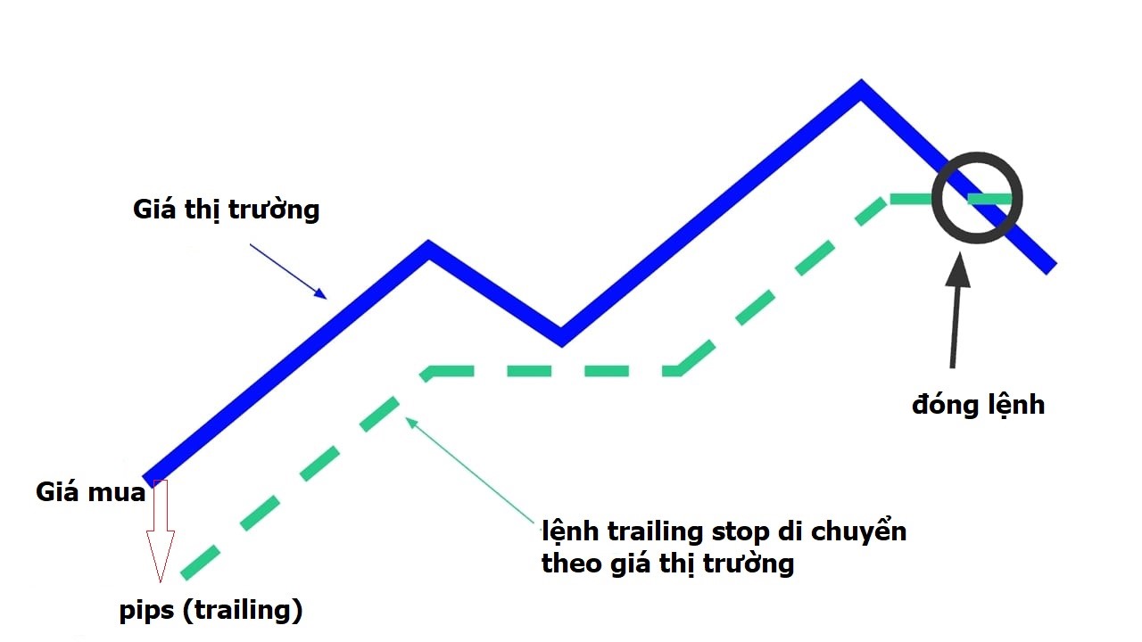 Trailing Stop 