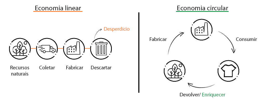 La economía circular que propone el cáñamo
