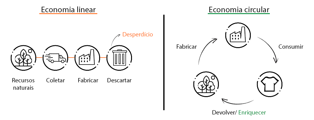 Economia circular proposta pelo cânhamo