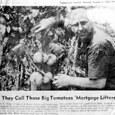 Mortgage Lifter Tomato Story