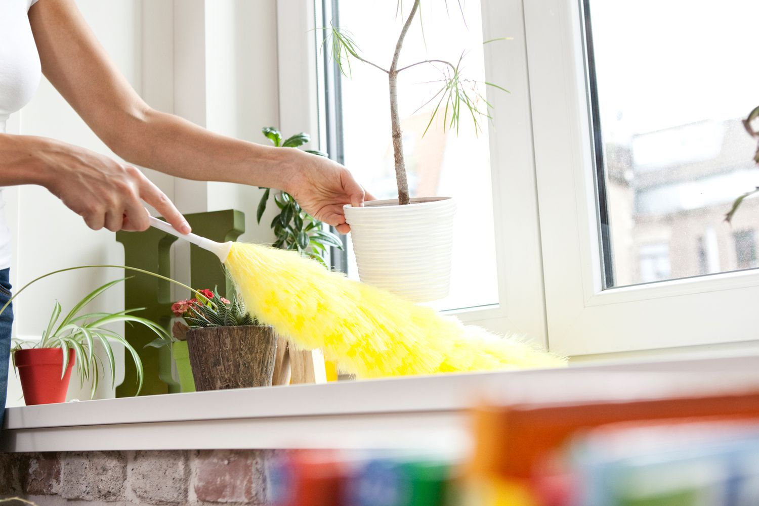 simple trick to eliminate dust in your house