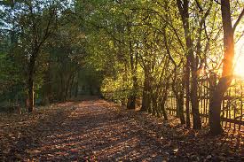 A Ray of Light Photograph by Martin Newman