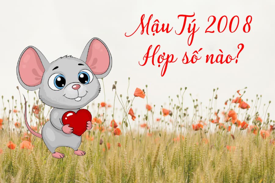 Người sinh năm 2008 mệnh gì? Hợp với tuổi nào? Tính cách và sự nghiệp của  người sinh năm này