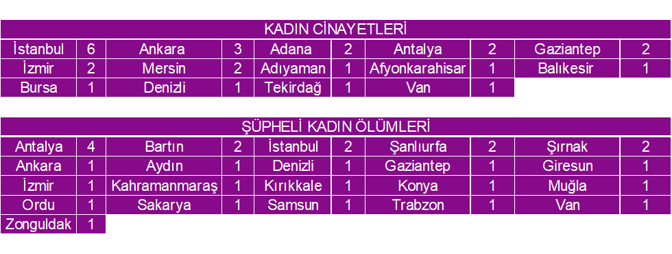 2022 Ocak Ay Kadn Cinayetleri statistii