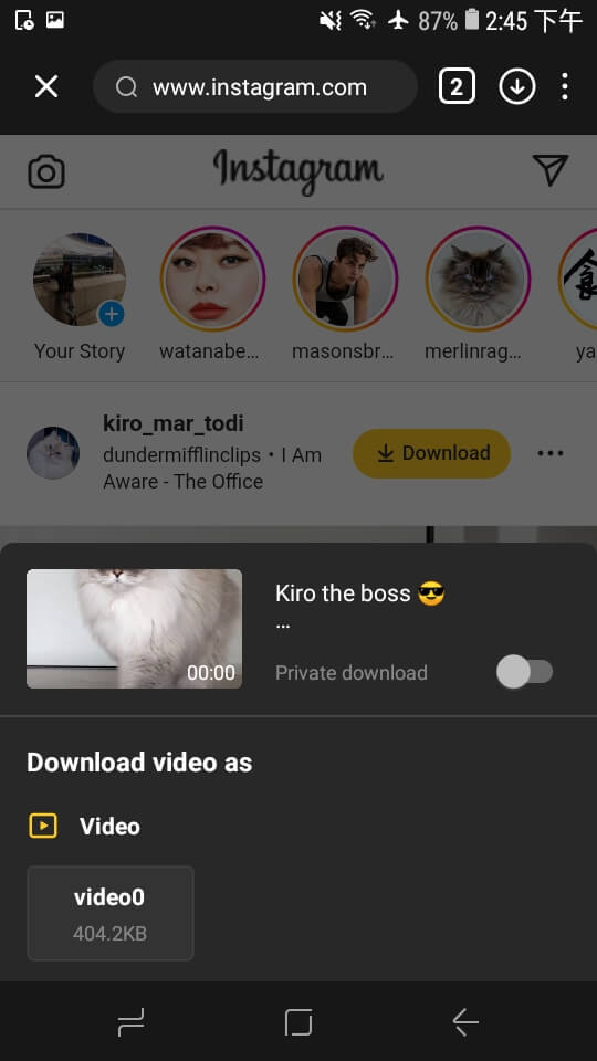 How to Download Instagram Videos for Free Without Watermark