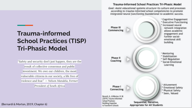 TISP Tri-Phasic Model