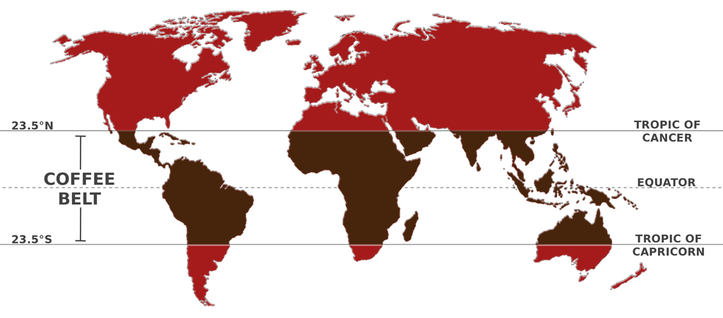 Where is coffee grown?