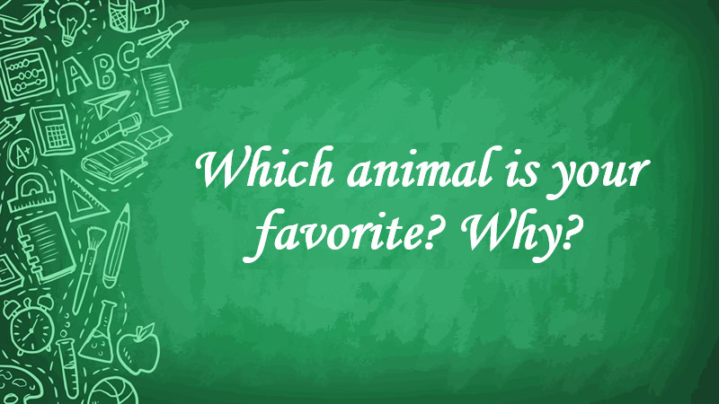 Which Animal Is Your Favorite? Why?