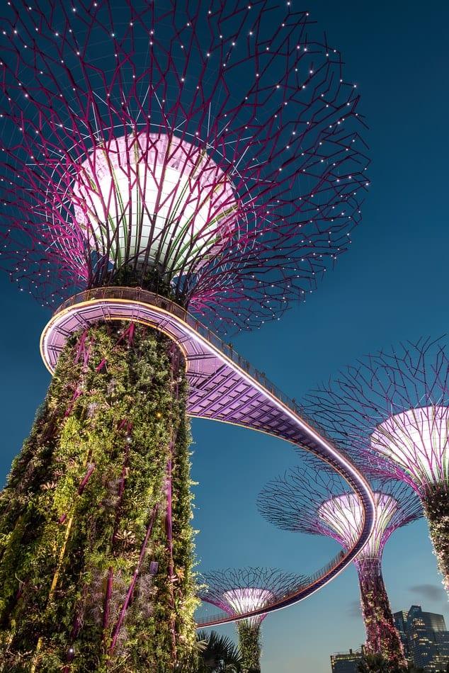 Singapore reopening borders for tourism
