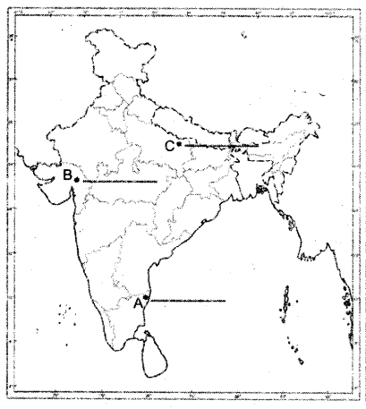 cbse-previous-year-question-papers-class-10-social-science-sa2-outside-delhi-2015-1