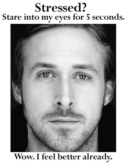 Fuera el stress con Ryan Gosling