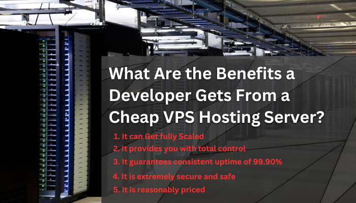 What Are the Benefits a Developer Gets From a Cheap VPS Hosting Server?