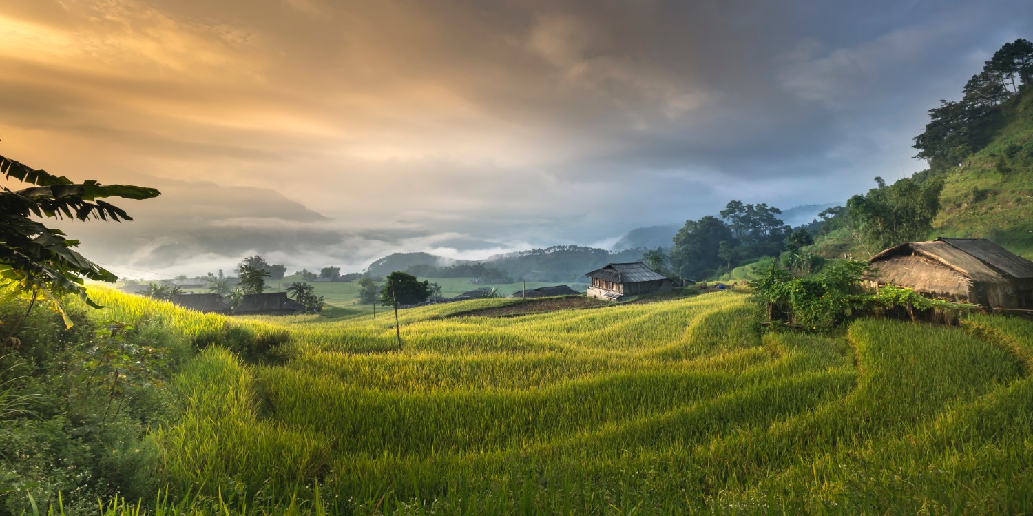 A farm scene in Asia with rice paddies on the side of a hill