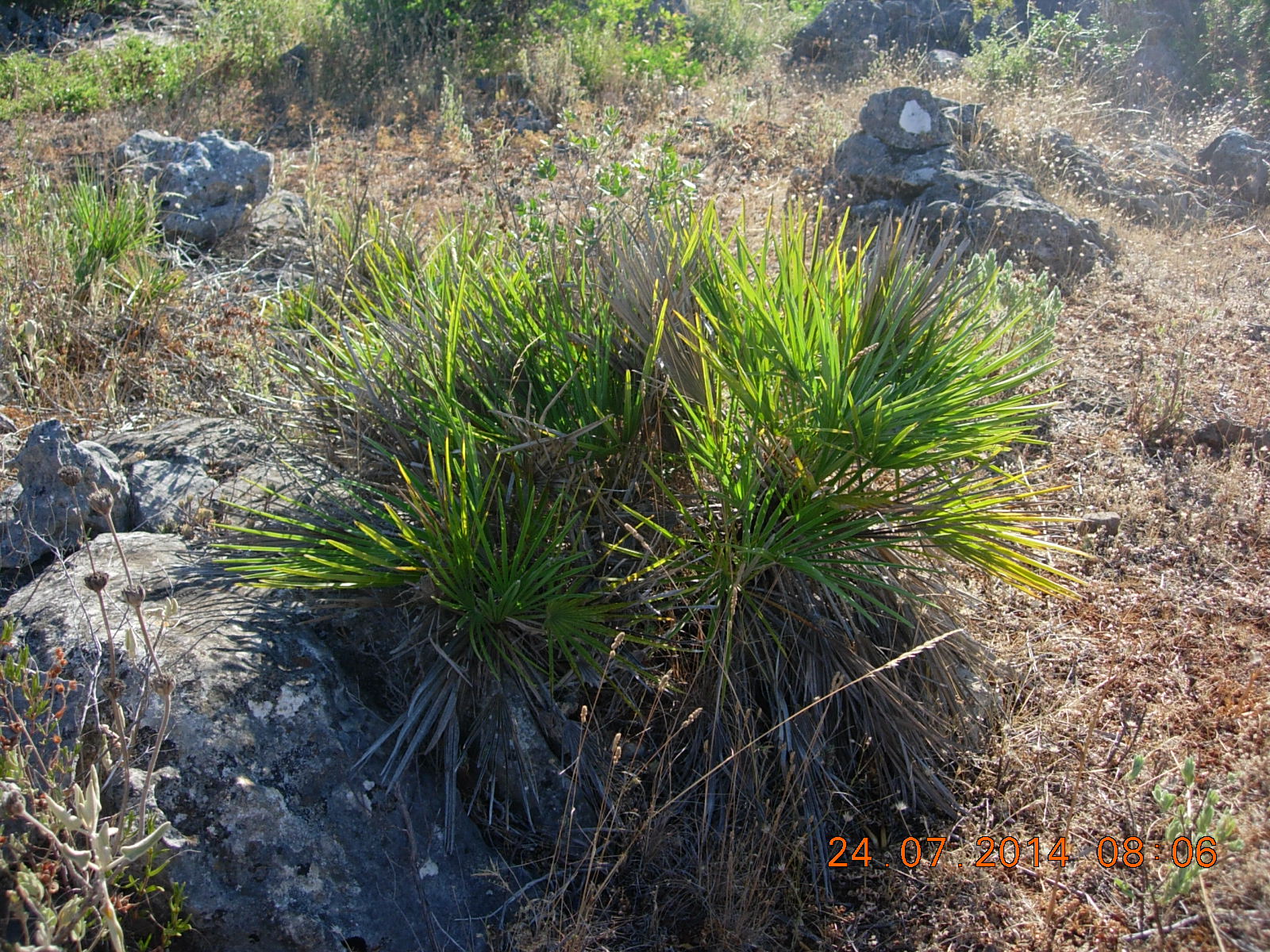 DSCN0510.JPG