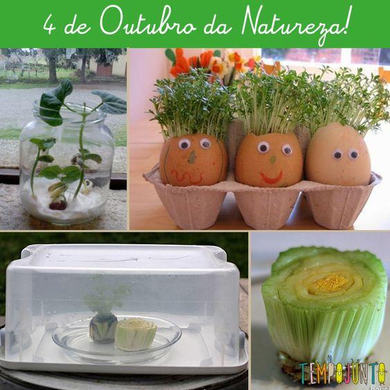 Plantando em casa com as crianças no dia da Natureza! Veja outras atividades lá no #tempojunto. Acesse www.tempojunto.com