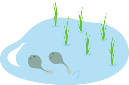 田んぼ イラスト フリー 750732-田んぼ イラスト フリー - geraldclarkejp