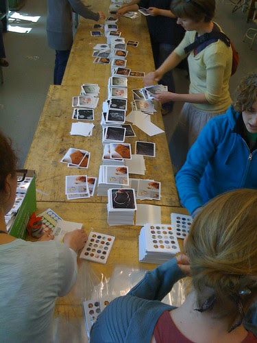 Sort the cards! get some at SNAG