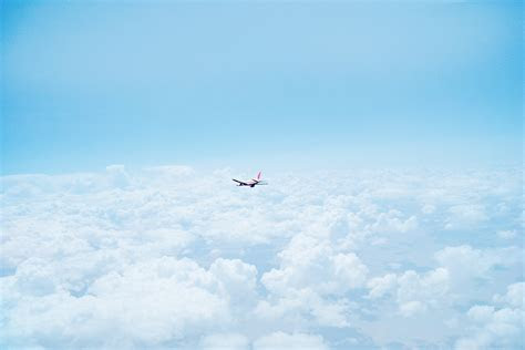 Android Wallpaper: Take Flight Android Wallpaper: Take Flight