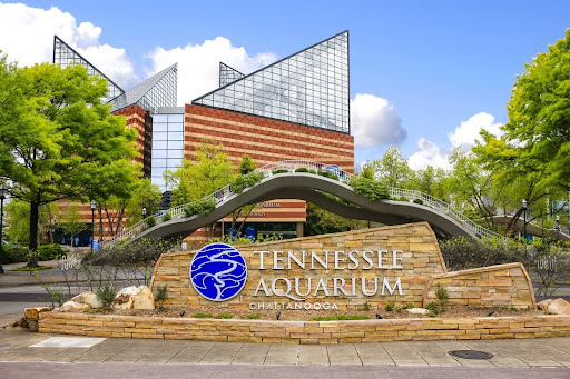 Aquarium «Tennessee Aquarium», reviews and photos, 1 Broad St, Chattanooga, TN 37402, USA