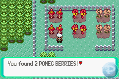 pomeg2