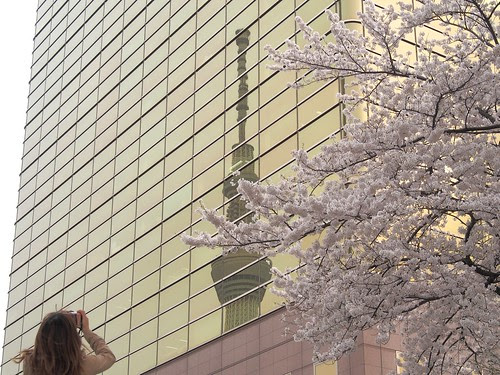 金のスカイツリーと桜