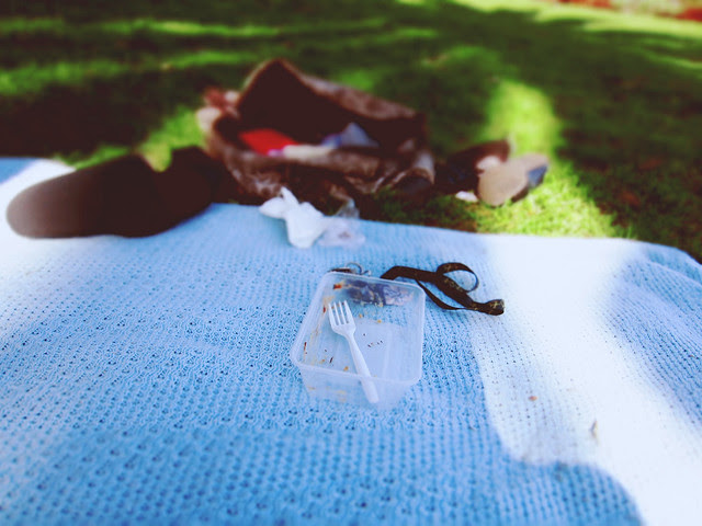 Picnic
