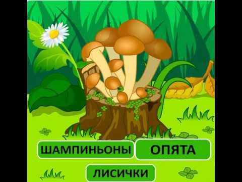 Опята на пеньке рисунок