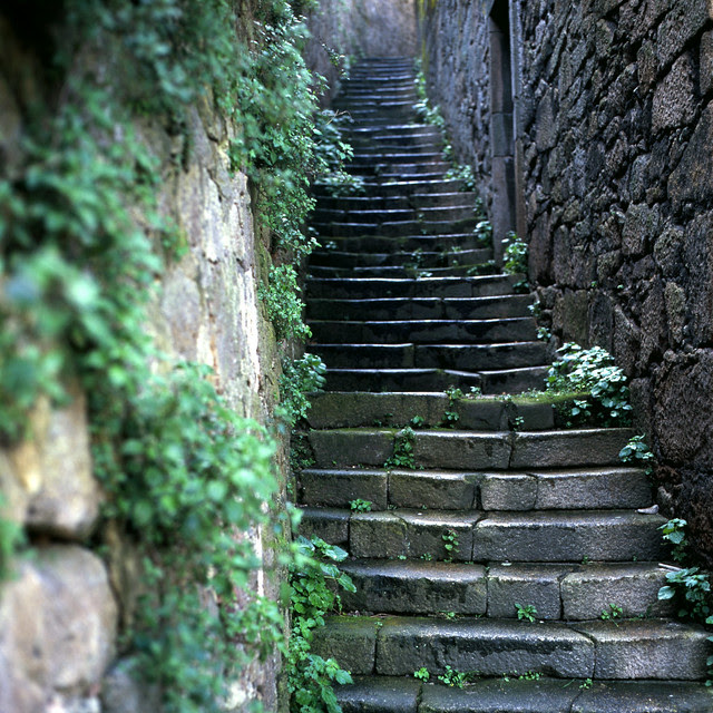 Old stairs after the rain