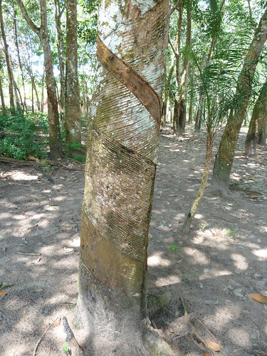 P1020021