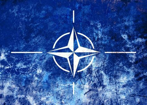 NATO: Another Trump Flip flop The Sleuth Journal NATO: Another Trump Flip flop The Sleuth Journal