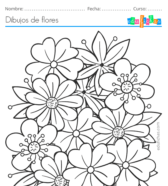 [View 22+] Dibujos Para Colorear Para Adultos Mayores Fáciles