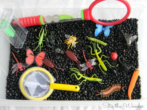 Insect Sensory Bin | Stir the Wonder