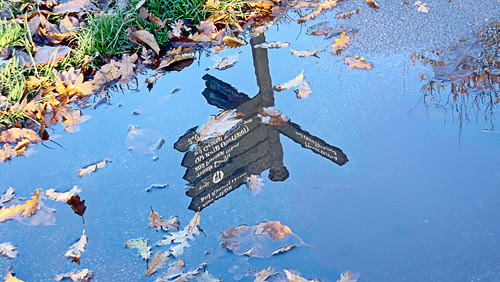 Fall's end in Greenwich (123)